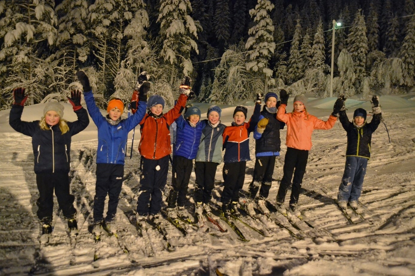 Kvennhusskogan på Ålvundeid