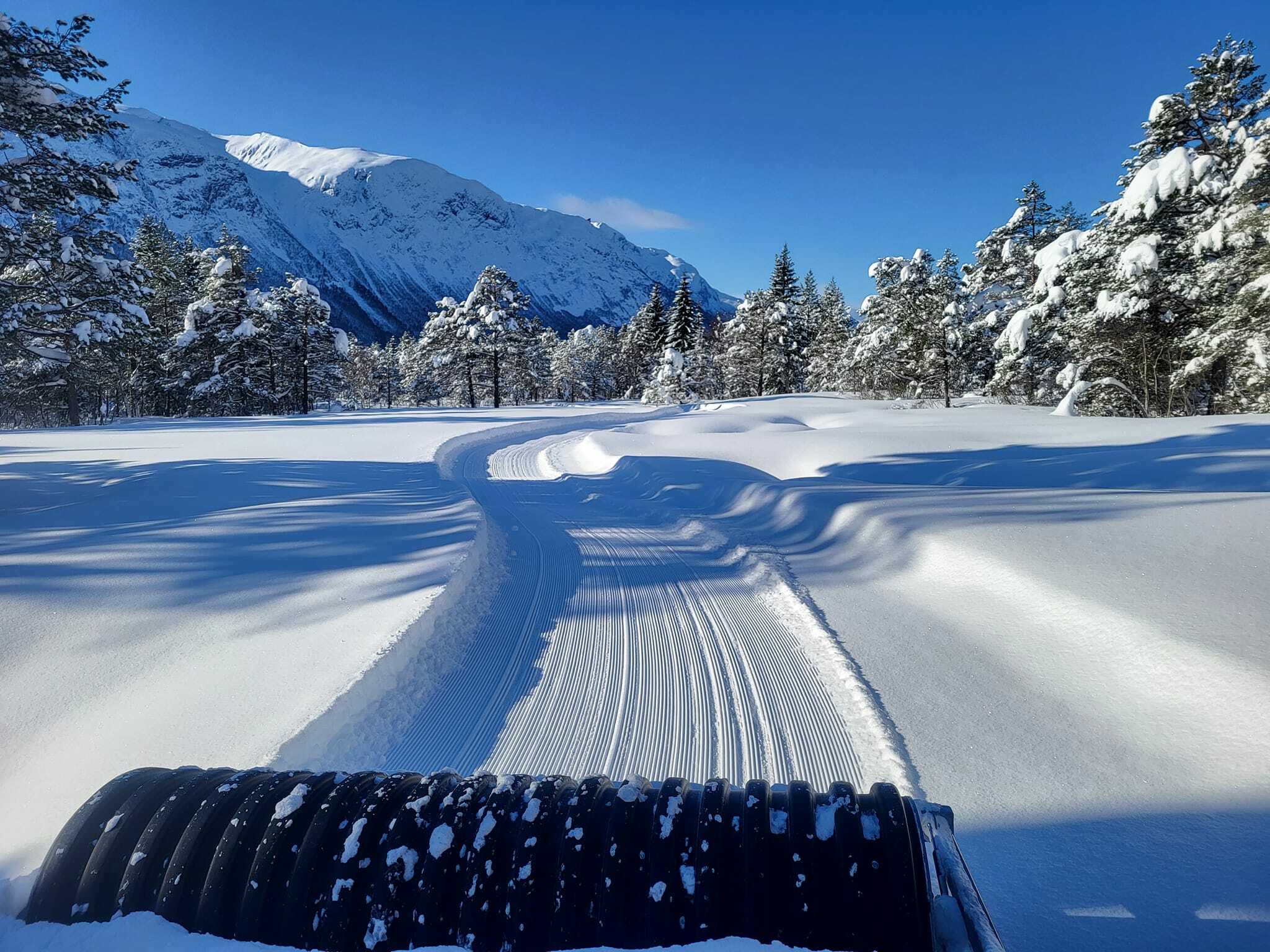Toklerunden i Isfjorden